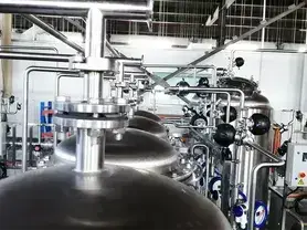 Purified Water System (PW Generation)