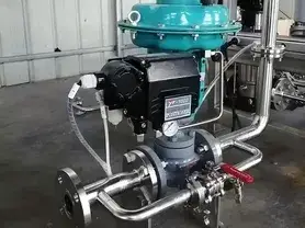 Pure Steam Generator