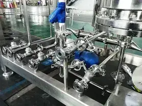 Pure Steam Generator