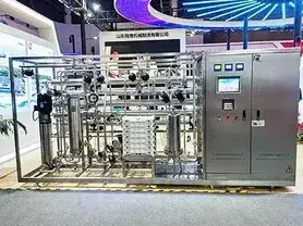 Purified Water System