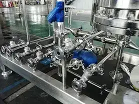 Pure Steam Generator