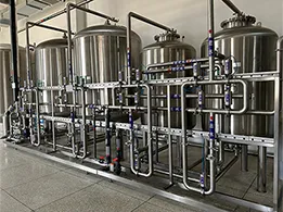 Purified Water Generation and Storage System for a Pharmaceutical Company in Belarus